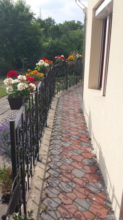 Zempleni Vendeghaz Hotell Erdőbénye Exteriör bild